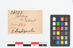 Etikett zu Bernsteinperle (NHMW-PRAE-026203)